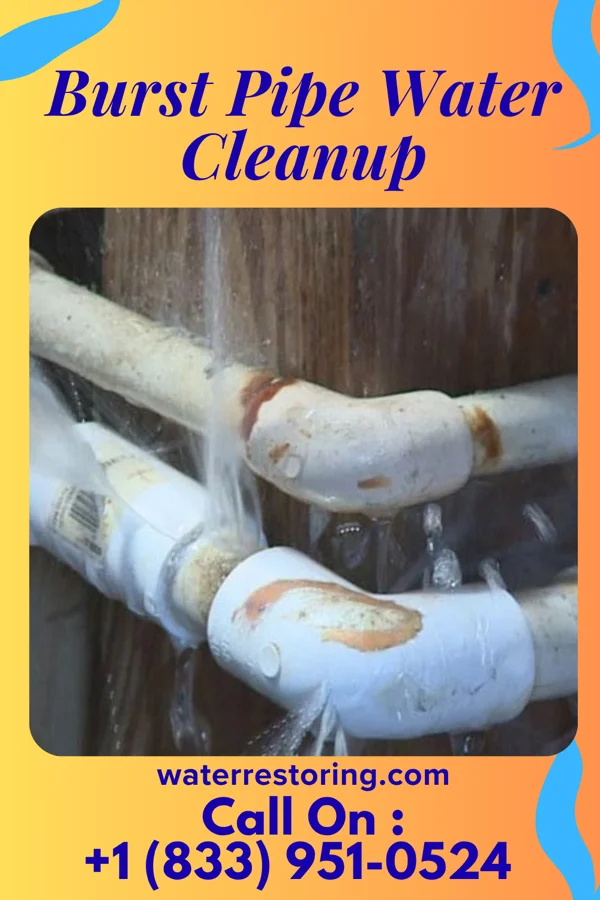 Burst Pipe Water Cleanup in Cortland, NE